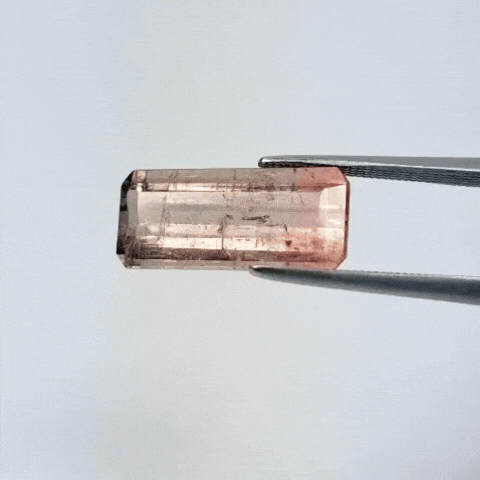 7ct Turmalina Bicolor 17x8mm