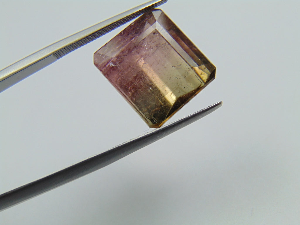 11.90ct Tourmaline Bicolor 13x12mm
