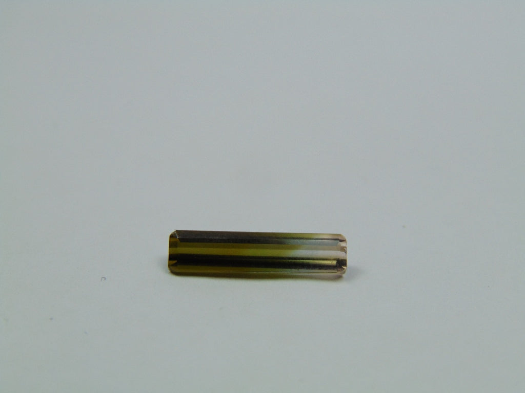 1.50ct Turmalina Bicolor 15x3mm