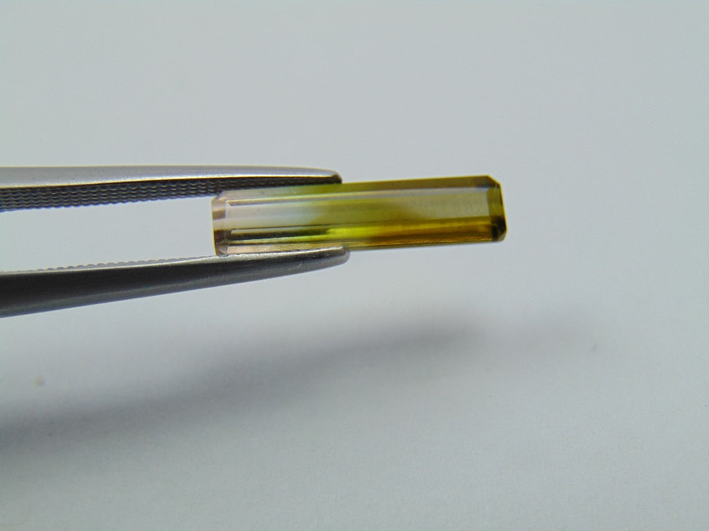 1.50ct Turmalina Bicolor 15x3mm