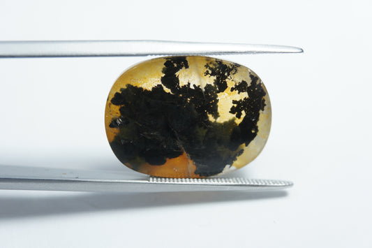 15.50ct Dendrita 21x15mm