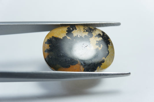 15.50ct Dendrita 21x15mm