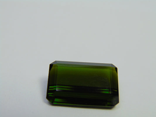 16.20ct Turmalina 19x13mm
