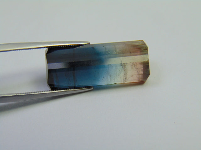 20.80ct Tourmaline Bicolor 24x10mm