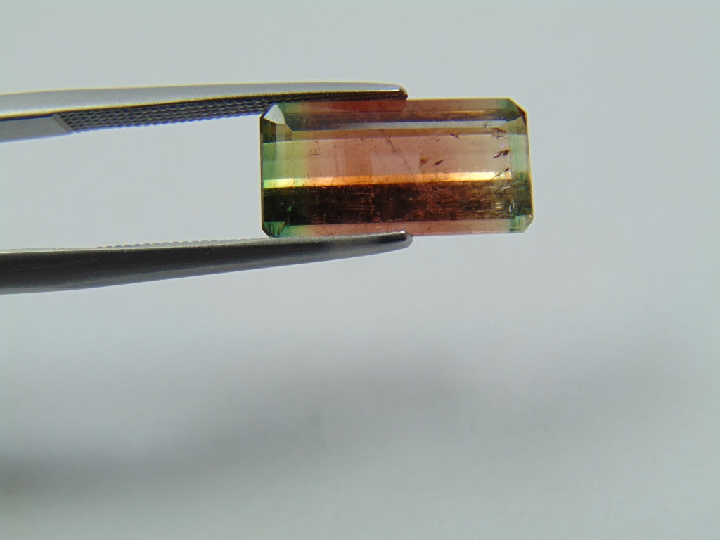 4.50ct Turmalina Bicolor 14x7mm