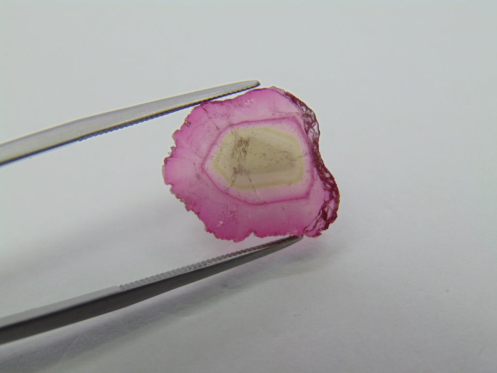 7.55ct Watermelon Tourmaline 16x15mm