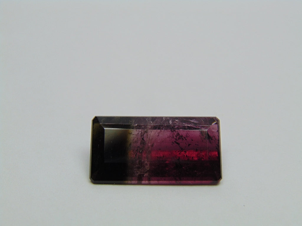 14.80ct Turmalina Bicolor 22x11mm