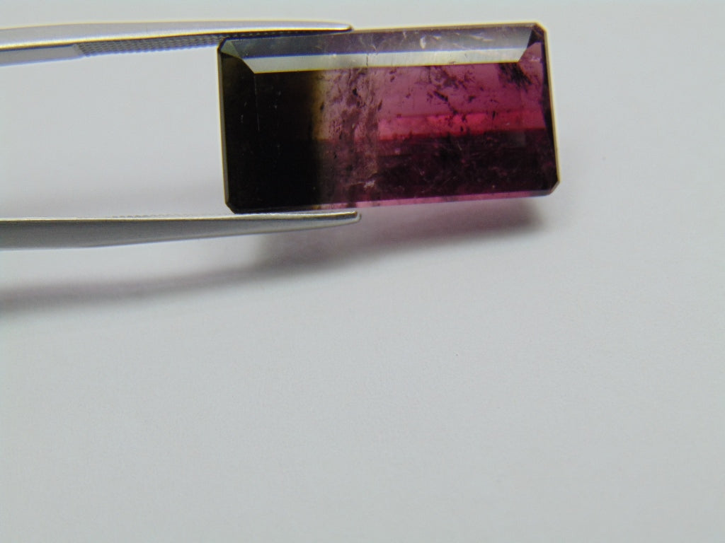 14.80ct Turmalina Bicolor 22x11mm