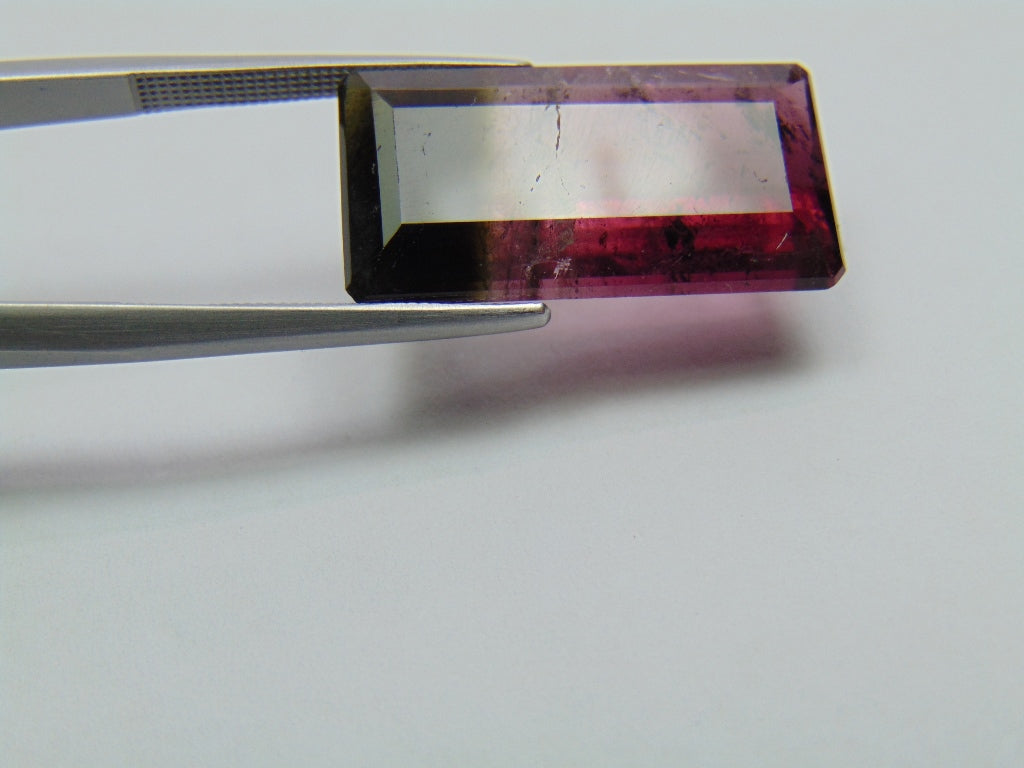 14.80ct Turmalina Bicolor 22x11mm