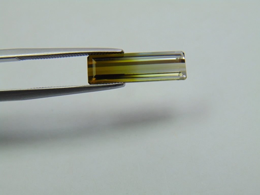 3.20ct Tourmaline Bicolor 17x5mm