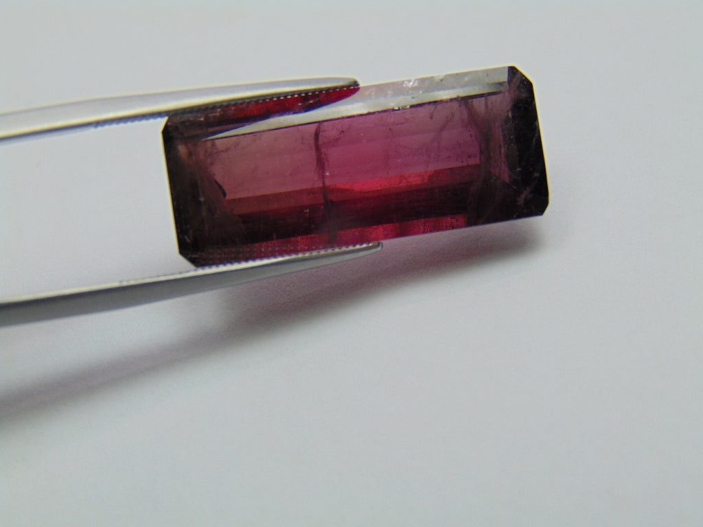 15.40ct Turmalina Bicolor 26x11mm