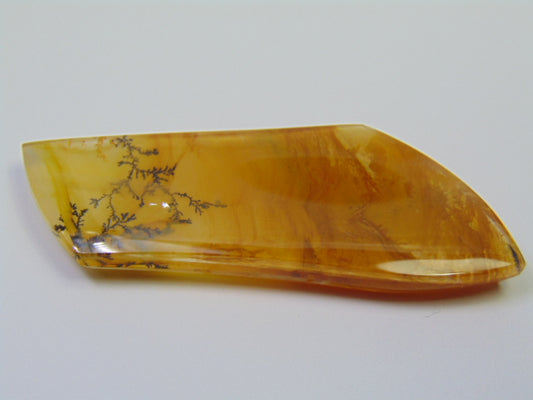 98.50ct Dendrita 65x23mm