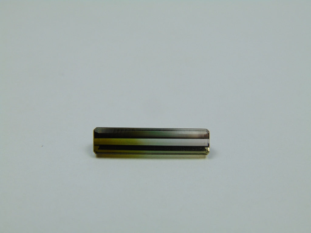 2.70ct Turmalina Bicolor 18x4mm