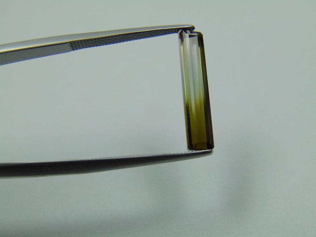 2.70ct Turmalina Bicolor 18x4mm