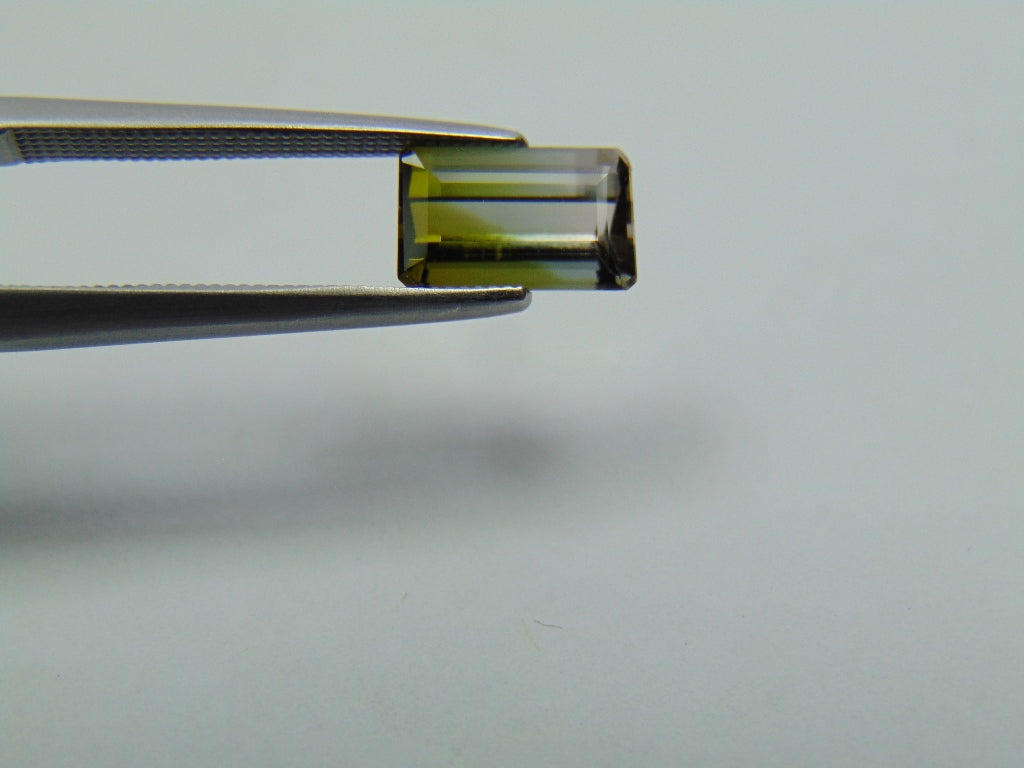 1.65ct Turmalina Bicolor 8x5mm