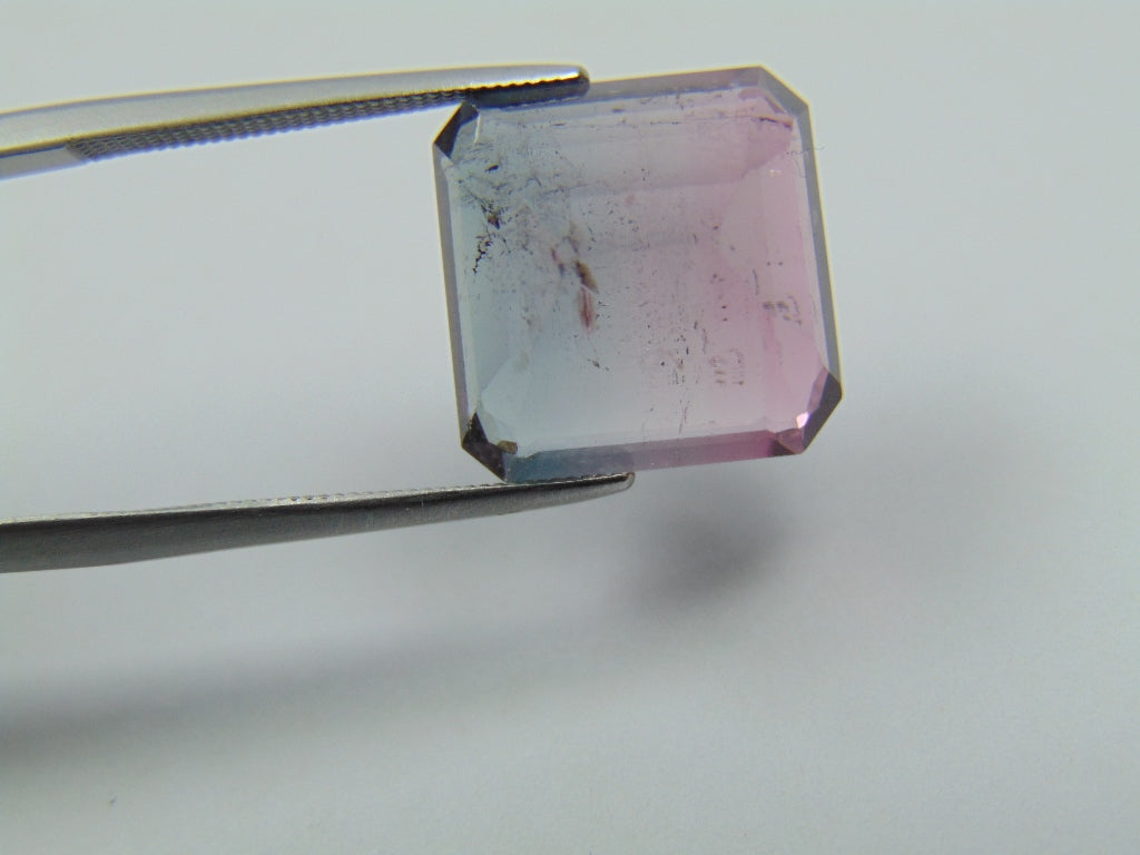 12.30ct Turmalina Bicolor 13mm