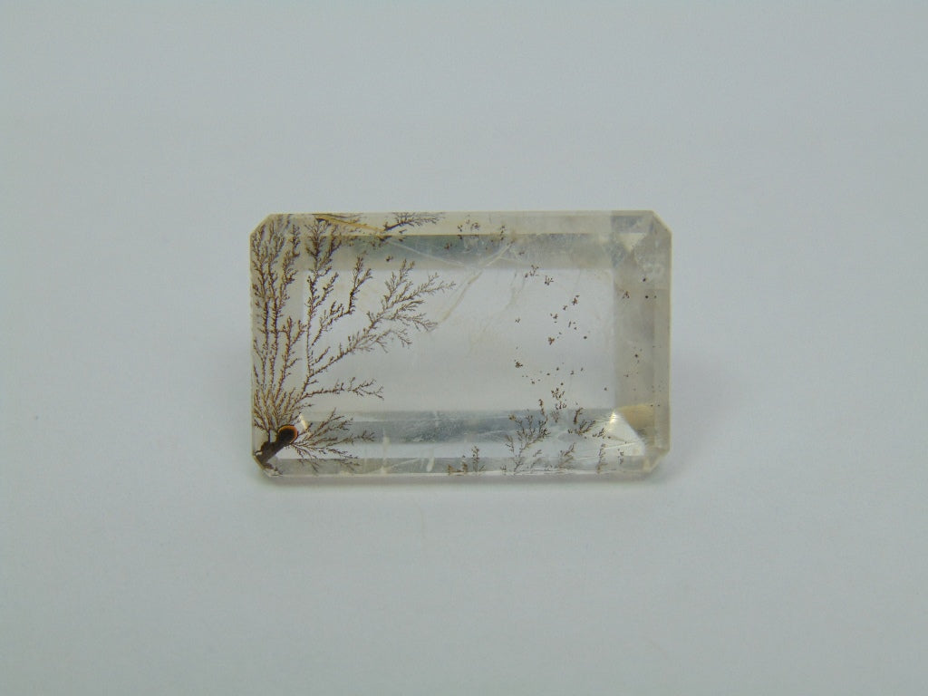 Dendrito 20,30ct 21x14mm