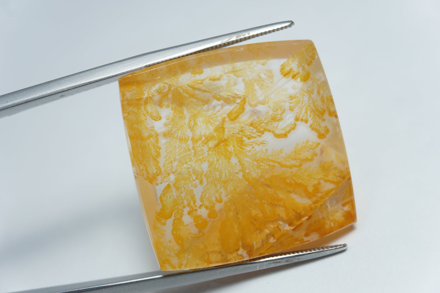 44.50ct Dendrita 25mm