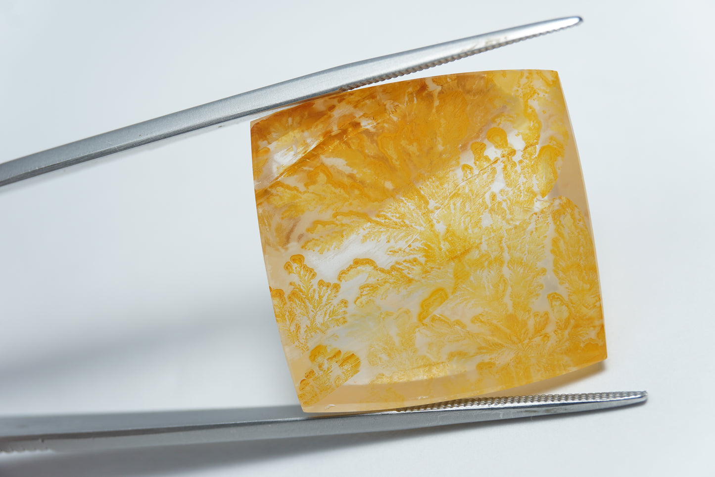 44.50ct Dendrita 25mm