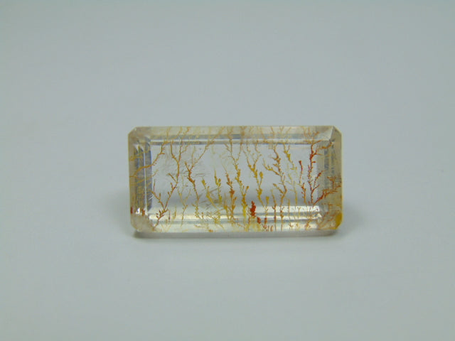 26.20ct Dendrite 25x13mm