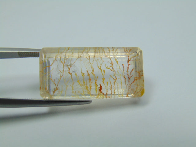 26.20ct Dendrite 25x13mm