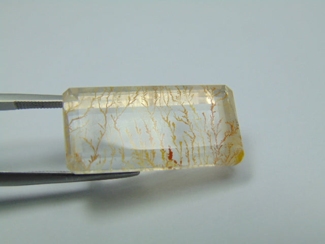 26.20ct Dendrite 25x13mm