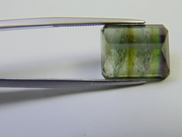 9.30ct Turmalina Bicolor 13x11mm