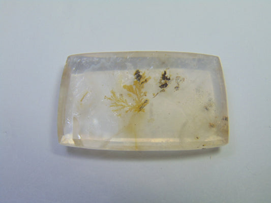 70.95ct Dendrita 39x25mm