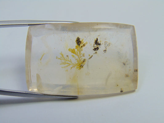 70.95ct Dendrita 39x25mm
