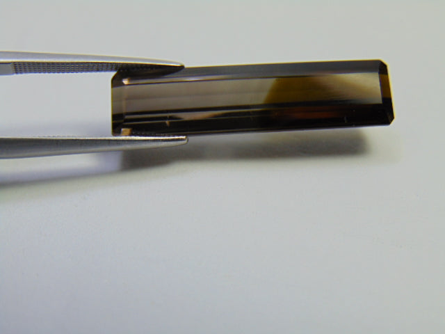 13.75ct Tourmaline Bicolor 30x7mm
