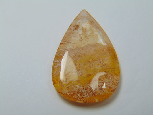 59.30ct Dendrita 43x29mm