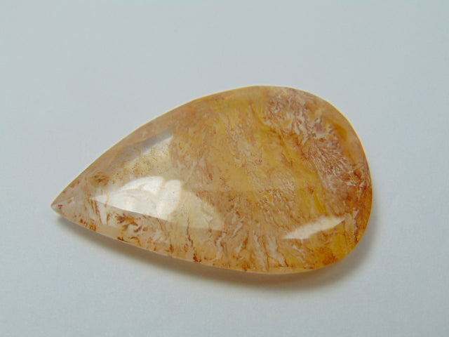 59.30ct Dendrita 43x29mm