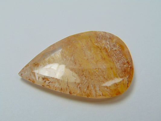 59.30ct Dendrita 43x29mm