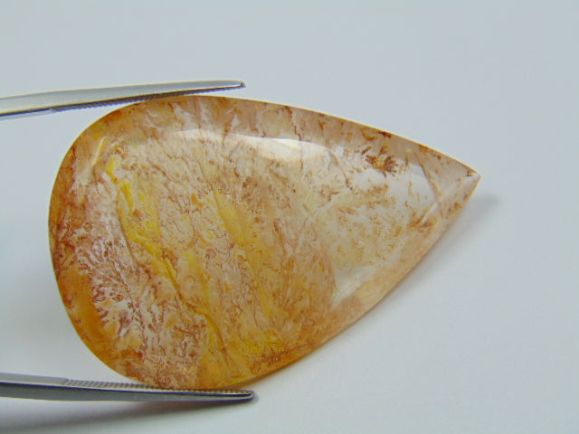59.30ct Dendrita 43x29mm