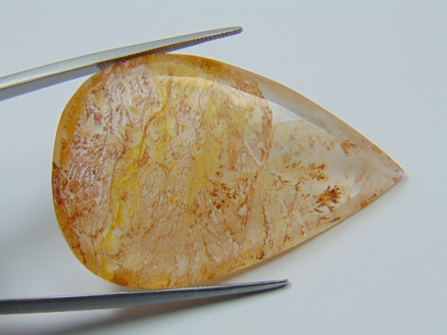 59.30ct Dendrita 43x29mm