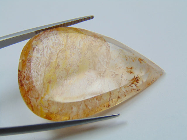 59.30ct Dendrita 43x29mm