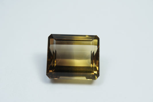 37.90ct Citrino bicolor 21x18mm