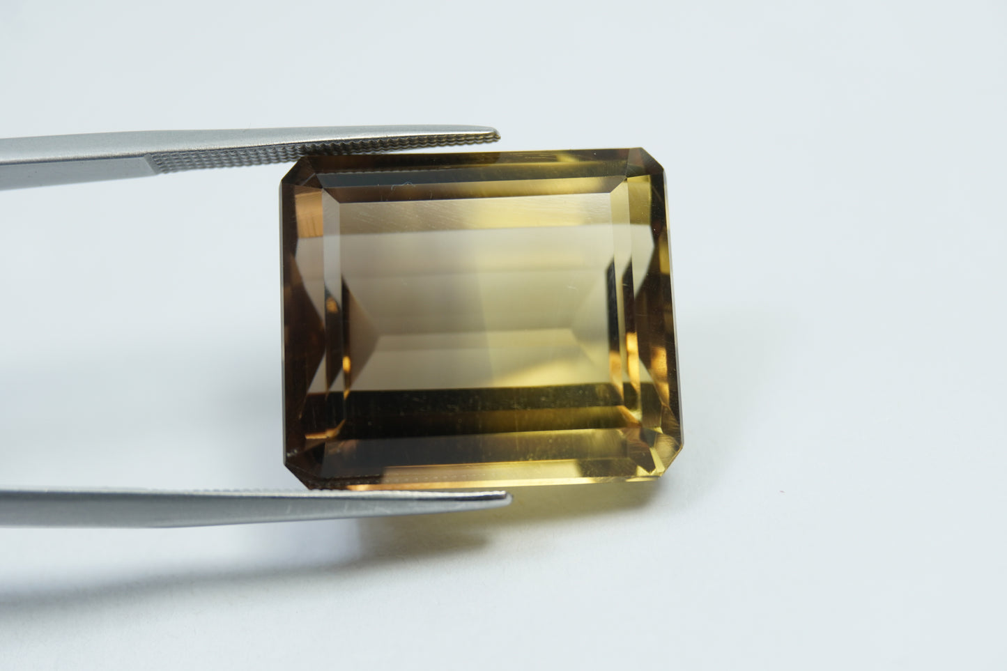 37.90ct Citrino bicolor 21x18mm