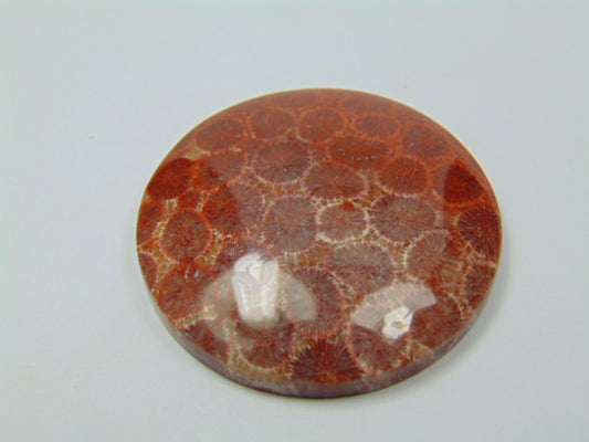 94.50ct Pedra Petoskey 40mm