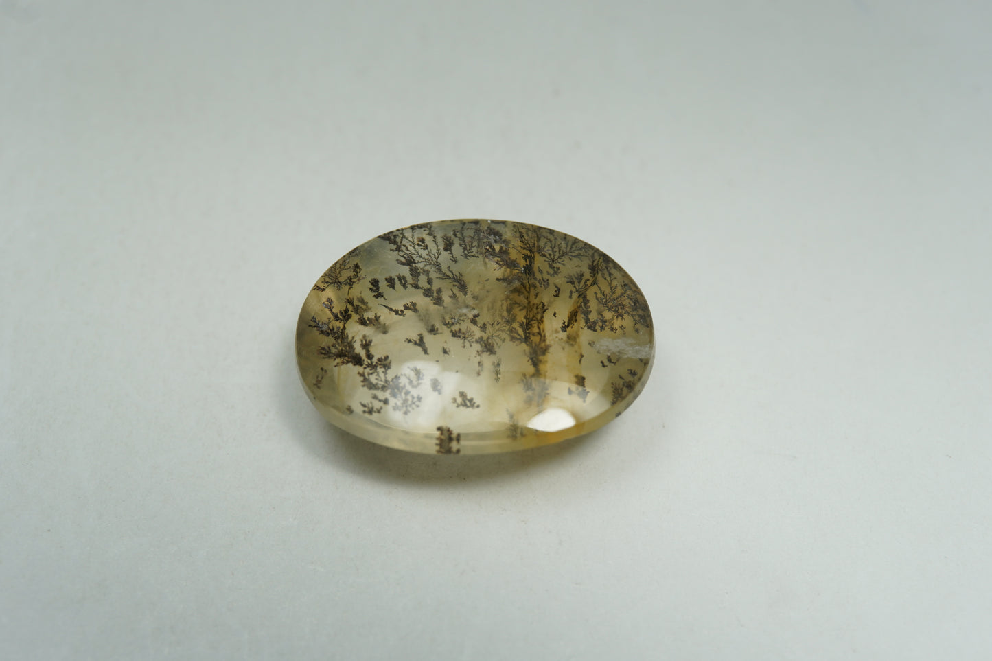 13.17ct Dendrite 19x15mm