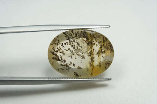 13.17ct Dendrita 19x15mm