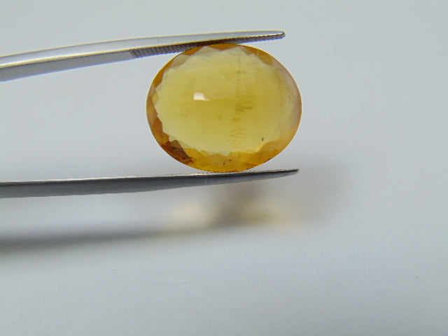 12.90ct Berilo 18x15mm