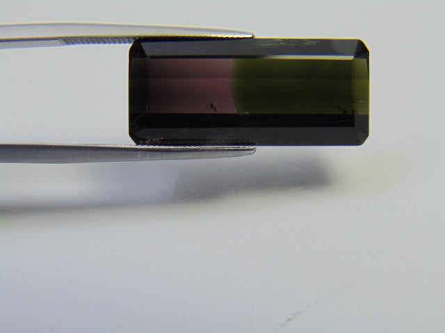 11.50ct Tourmaline Bicolor 23x10mm