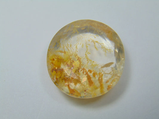 52ct Dendrita 38x27mm