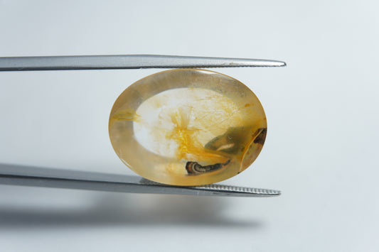 14.85ct Dendrita 20x15mm