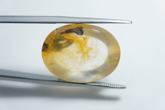 14.85ct Dendrita 20x15mm