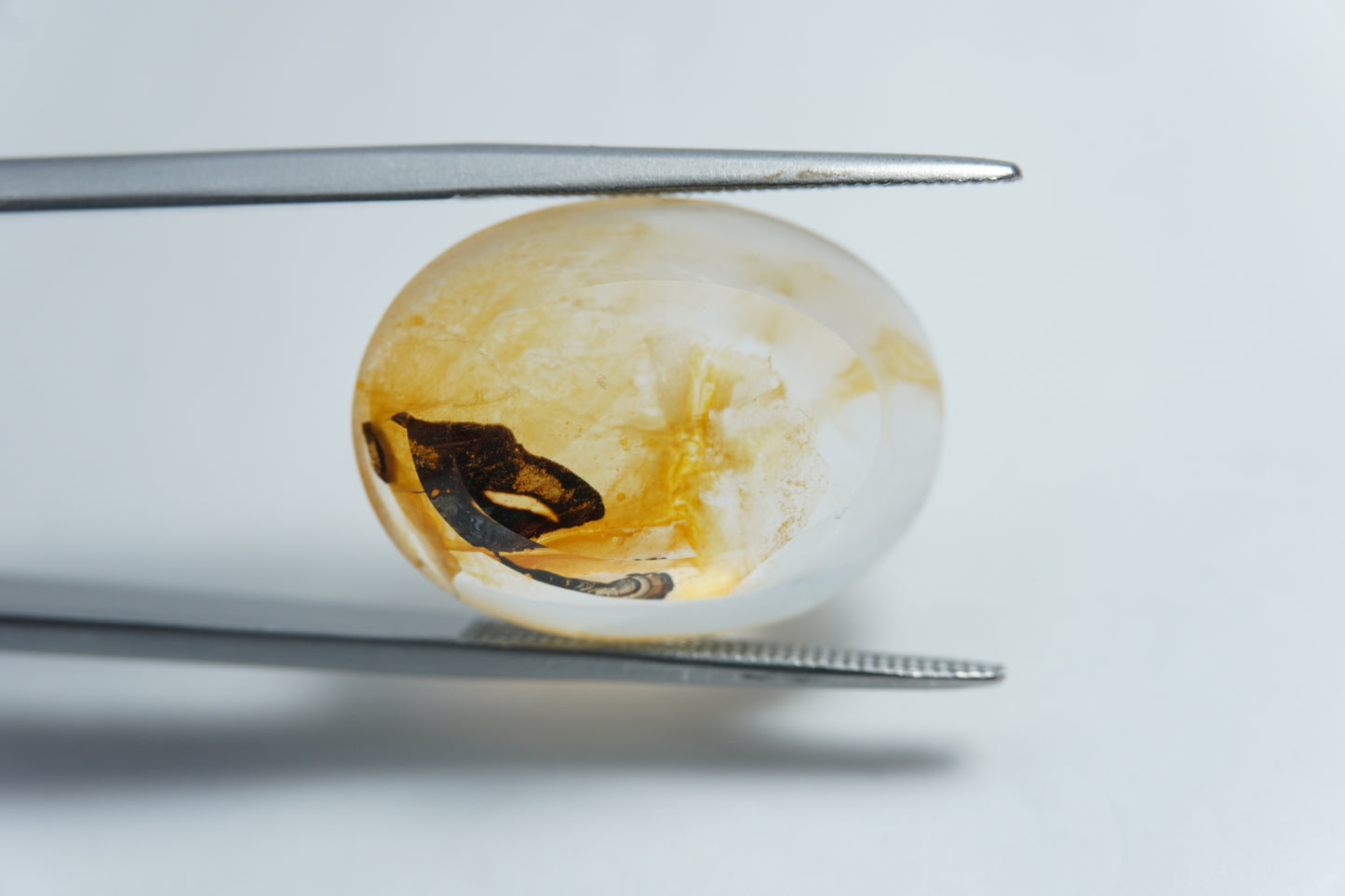 14.85ct Dendrita 20x15mm