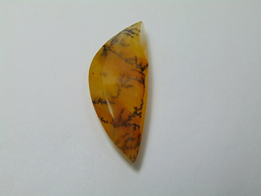 26.30ct Dendrita 38x27mm