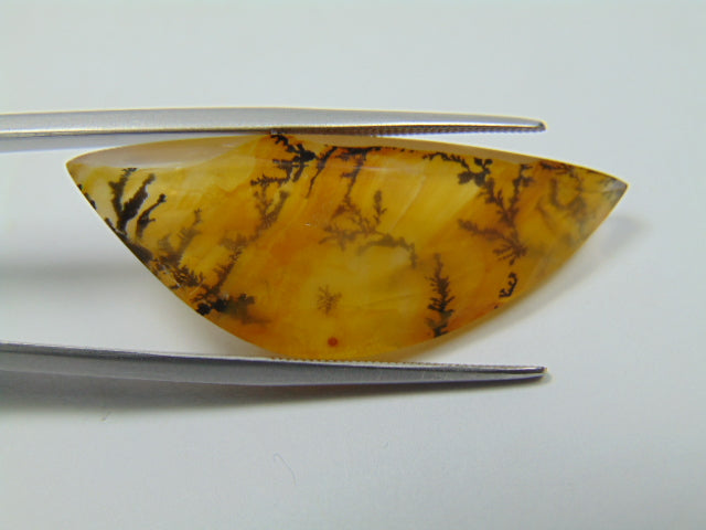 26.30ct Dendrite 38x27mm