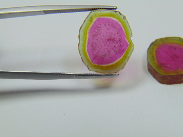 15.75ct Watermelon Tourmaline Pair 16x14mm